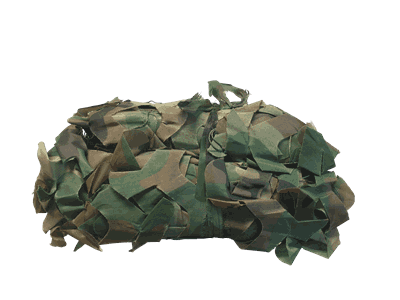 30159 20210825_084502-removebg.png