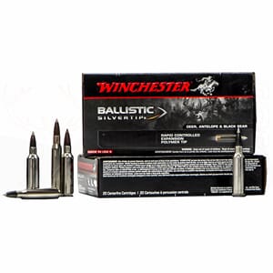 Winchester Ballistic Silvertip 30-06 150Gr