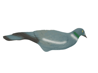 32885 20210825_081848-removebg (1)_1.png