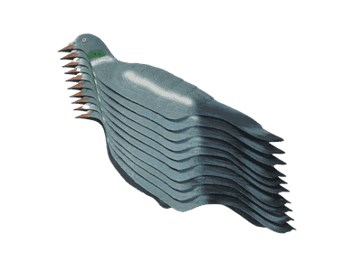 32886 20210825_082828-removebg.png