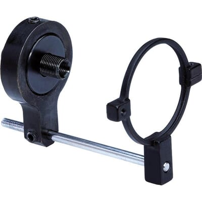 33207 gammel busk.jpg