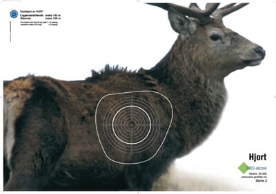 30731 beo hjort.jpeg