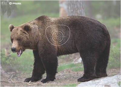 34689 1741702580445-5c897f84-c23b-4a7d-86bf-bec095edc1db_1.jpg