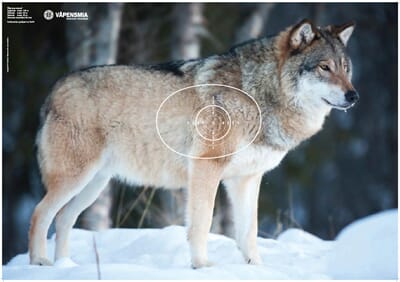 34691 1741702580445-5c897f84-c23b-4a7d-86bf-bec095edc1db_3.jpg