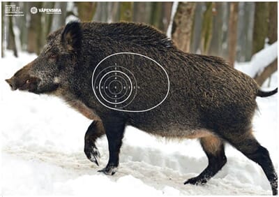 34692 1741702580445-5c897f84-c23b-4a7d-86bf-bec095edc1db_4.jpg