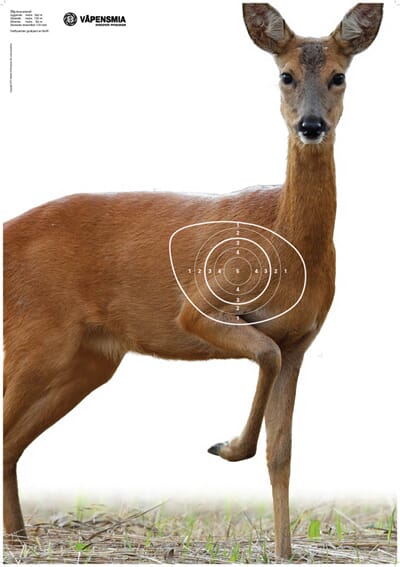 34693 1741702580445-5c897f84-c23b-4a7d-86bf-bec095edc1db_6.jpg