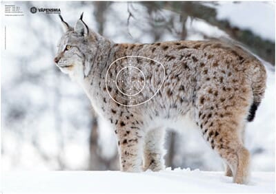 34694 1741702580445-5c897f84-c23b-4a7d-86bf-bec095edc1db_5.jpg