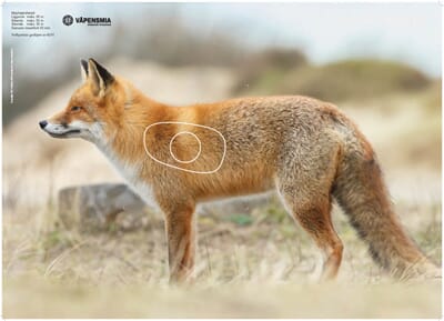 34695 1741702580445-5c897f84-c23b-4a7d-86bf-bec095edc1db_8.jpg