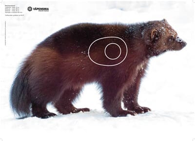 34696 1741702580445-5c897f84-c23b-4a7d-86bf-bec095edc1db_9.jpg