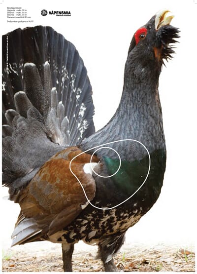 34697 1741702580445-5c897f84-c23b-4a7d-86bf-bec095edc1db_11.jpg