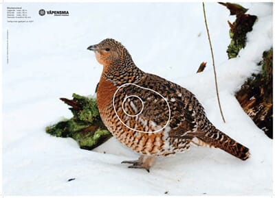 34698 1741702580445-5c897f84-c23b-4a7d-86bf-bec095edc1db_7.jpg