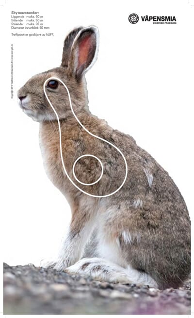 34699 1741702580445-5c897f84-c23b-4a7d-86bf-bec095edc1db_12.jpg