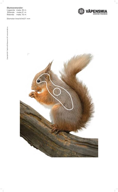 34700 1741702580445-5c897f84-c23b-4a7d-86bf-bec095edc1db_13.jpg