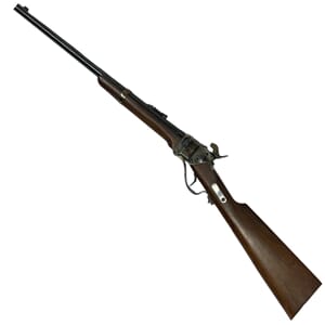 Rifle Sharps kl 45-70 (C0554)